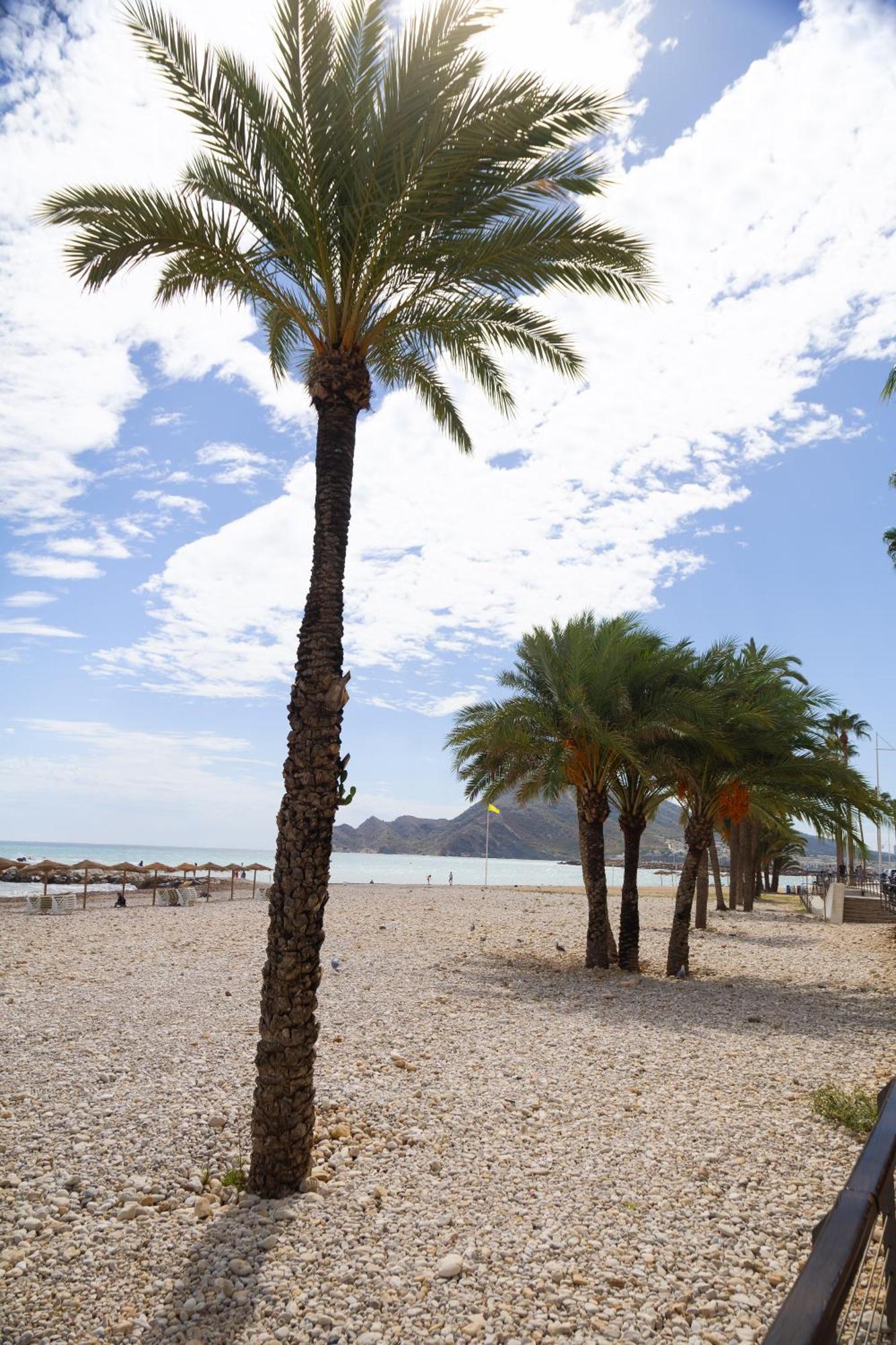El Toro Apartamento Altea